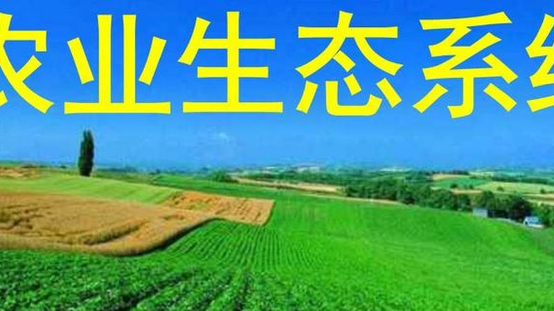 有机蔬菜定制套餐月卡多少钱
