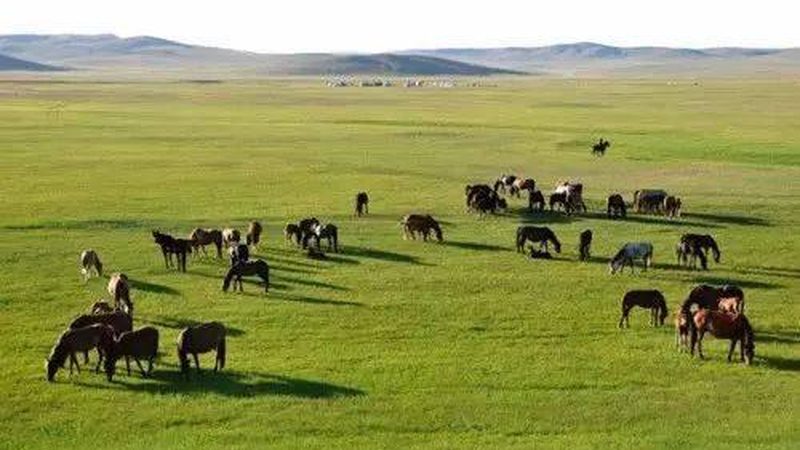 果蔬配送合同：范本、标准与格式解析