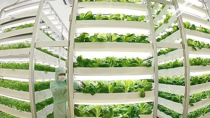 果蔬配送公司定制服务主要包括以下几个方面：