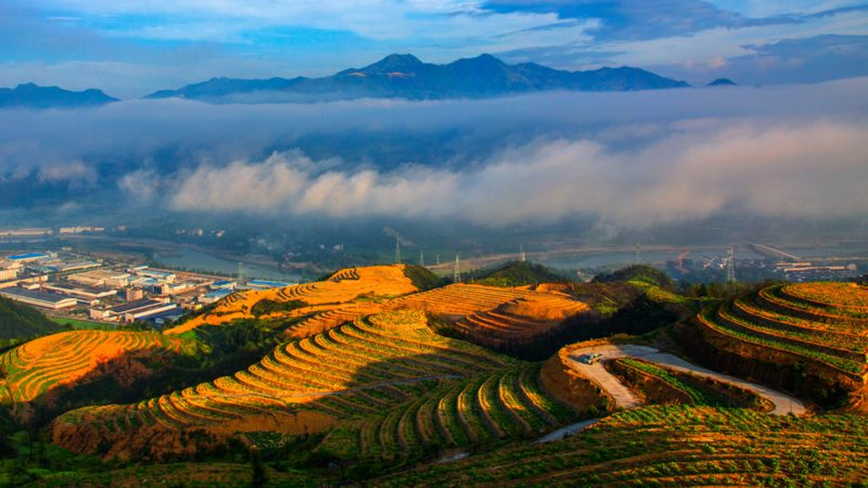 休闲农业与乡村旅游：运营模式差异解析