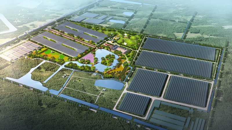 北京农产品批发市场进货路线攻略：如何高效采购