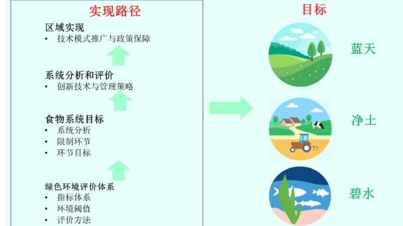 农旅融合项目申报，哪些条件是关键？**