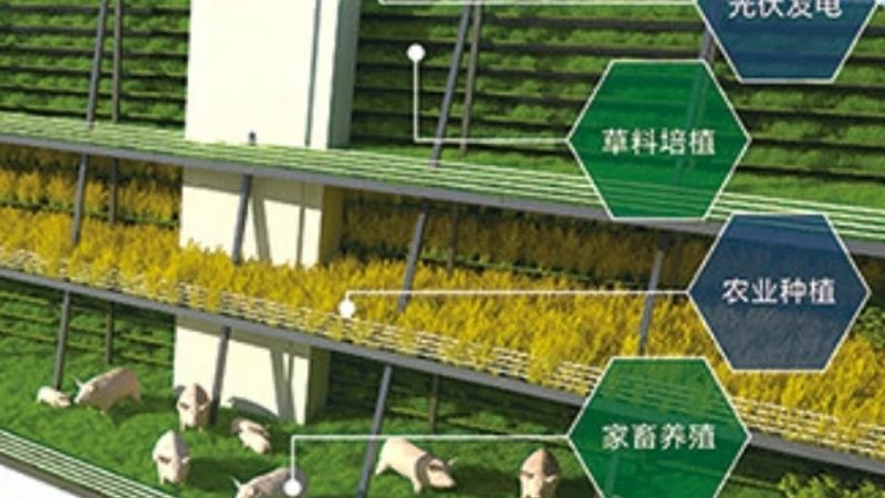 种植与养殖：小本创业的黄金选择