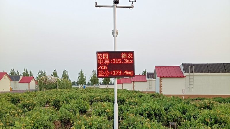 大棚蔬菜病虫害具有以下特点：