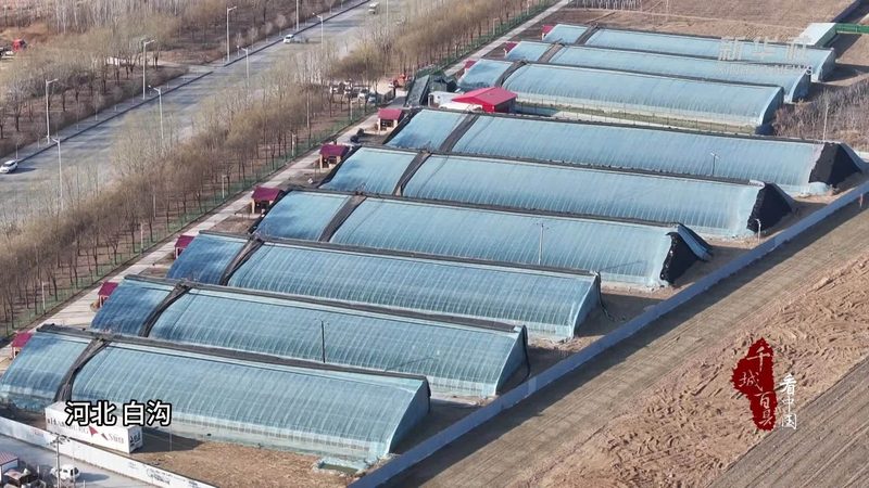 绿色食品认证：费用背后的价值考量