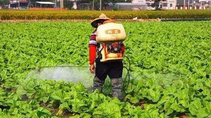 生鲜配送软件：不只是价格，更是效率与体验的升级