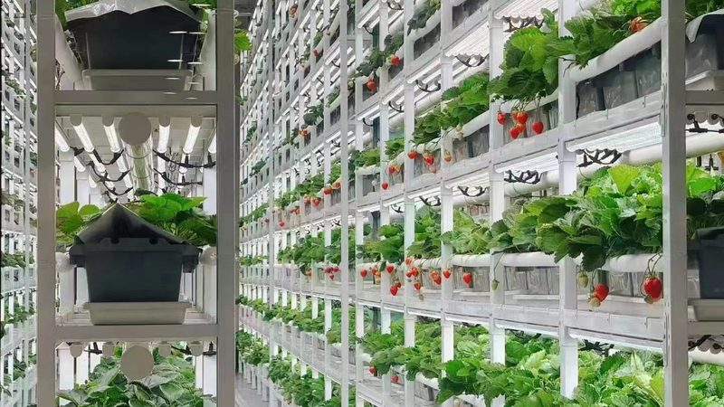 家庭农场注册登记步骤详解