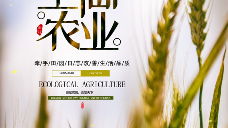 成都绿色食品标志续展，流程详解助力企业合规发展
